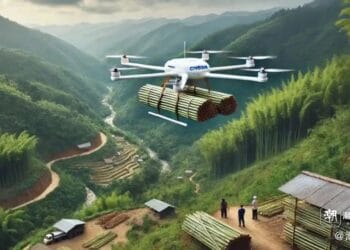 遂昌无人机赋能林业