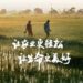 让农业更轻松,让生命更美好